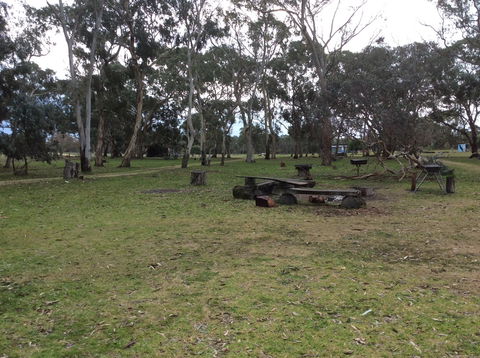 Black Cockatoo Bush Camp - Attractions Sydney 1