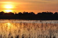 Bool Lagoon Game Reserve and Hacks Lagoon Conservation Park