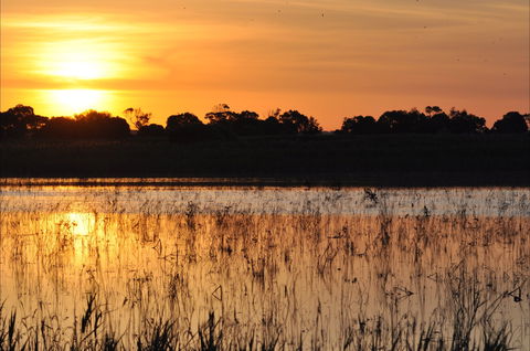 Bool Lagoon Game Reserve And Hacks Lagoon Conservation Park - Attractions Sydney 0