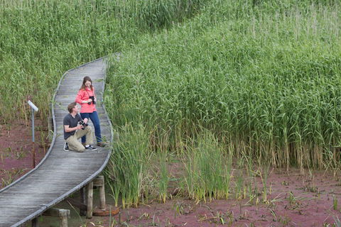 Bool Lagoon Game Reserve And Hacks Lagoon Conservation Park - Attractions Sydney 2