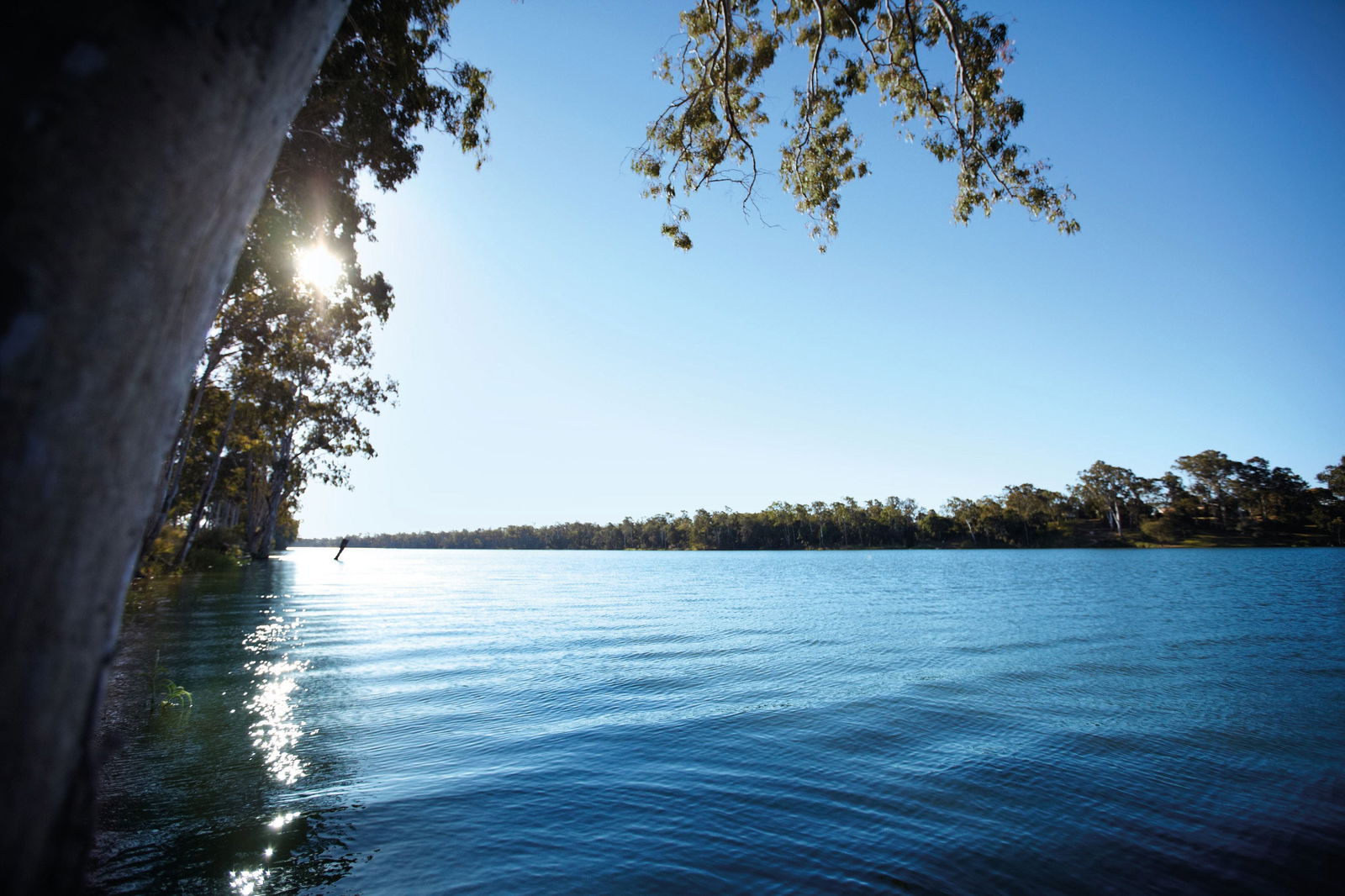 Branyan QLD Attractions Sydney