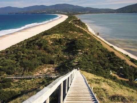 Bruny Island - Attractions Sydney 0