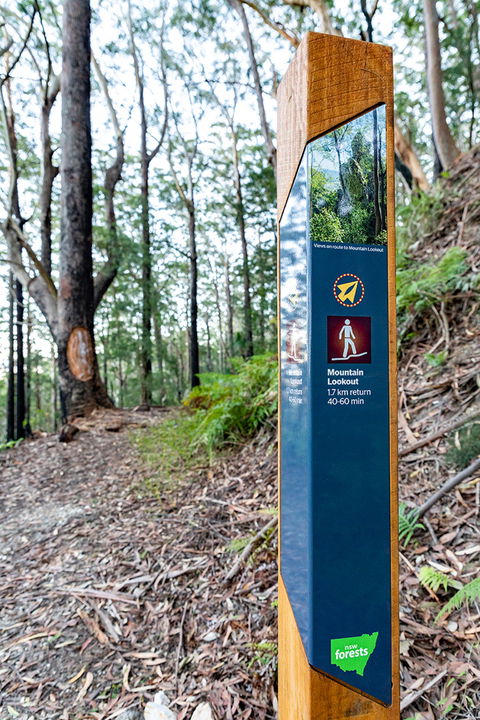 Bulahdelah Mountain Aboriginal Place - Attractions Sydney 0