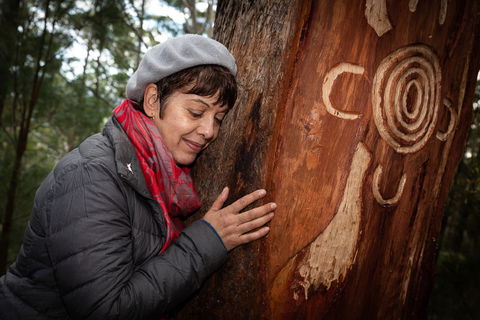 Bulahdelah Mountain Aboriginal Place - Attractions Sydney 1