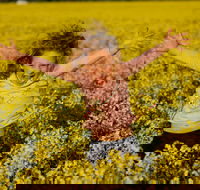 Canola Trail - Attractions Sydney