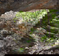 Cave Creek Walking Track - Attractions Sydney