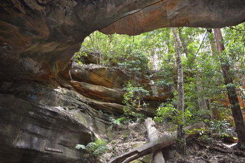 Cave Creek Walking Track - Attractions Sydney 0
