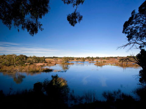 Cecil Hoskins Nature Reserve - Attractions Sydney 0