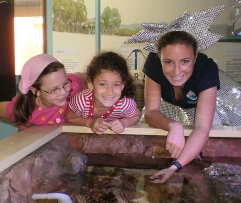 Central Coast Marine Discovery Centre - Attractions Sydney 0