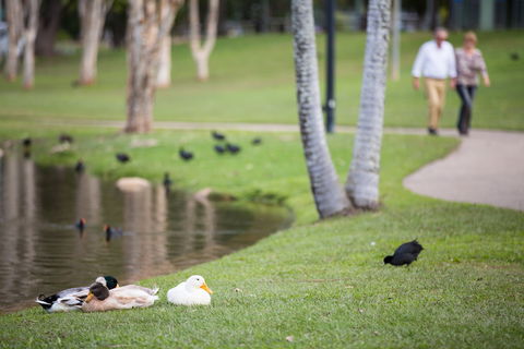 Centenary Lakes Park - Attractions Sydney 2
