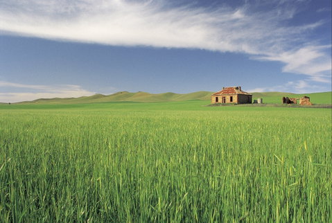 Clare Valley - Attractions Sydney 1