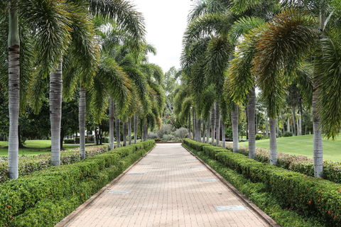Dan Gleeson Memorial Gardens - Attractions Sydney 0