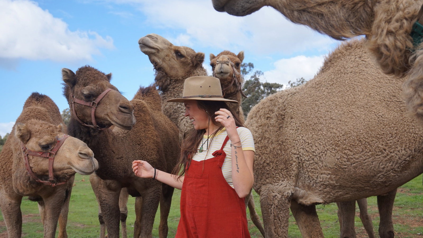 Morangup WA Attractions Sydney