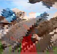 DromeDairy Body and Skin - Attractions Sydney