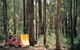 Dwellingup - thumb 0