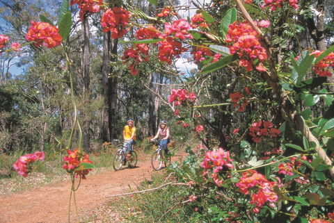 Dwellingup - Attractions Sydney 1