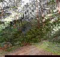 End Peak walking track - Attractions Sydney