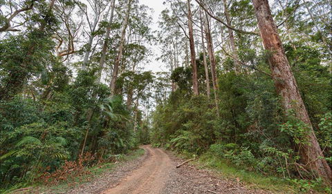 End Peak Walking Track - Attractions Sydney 0