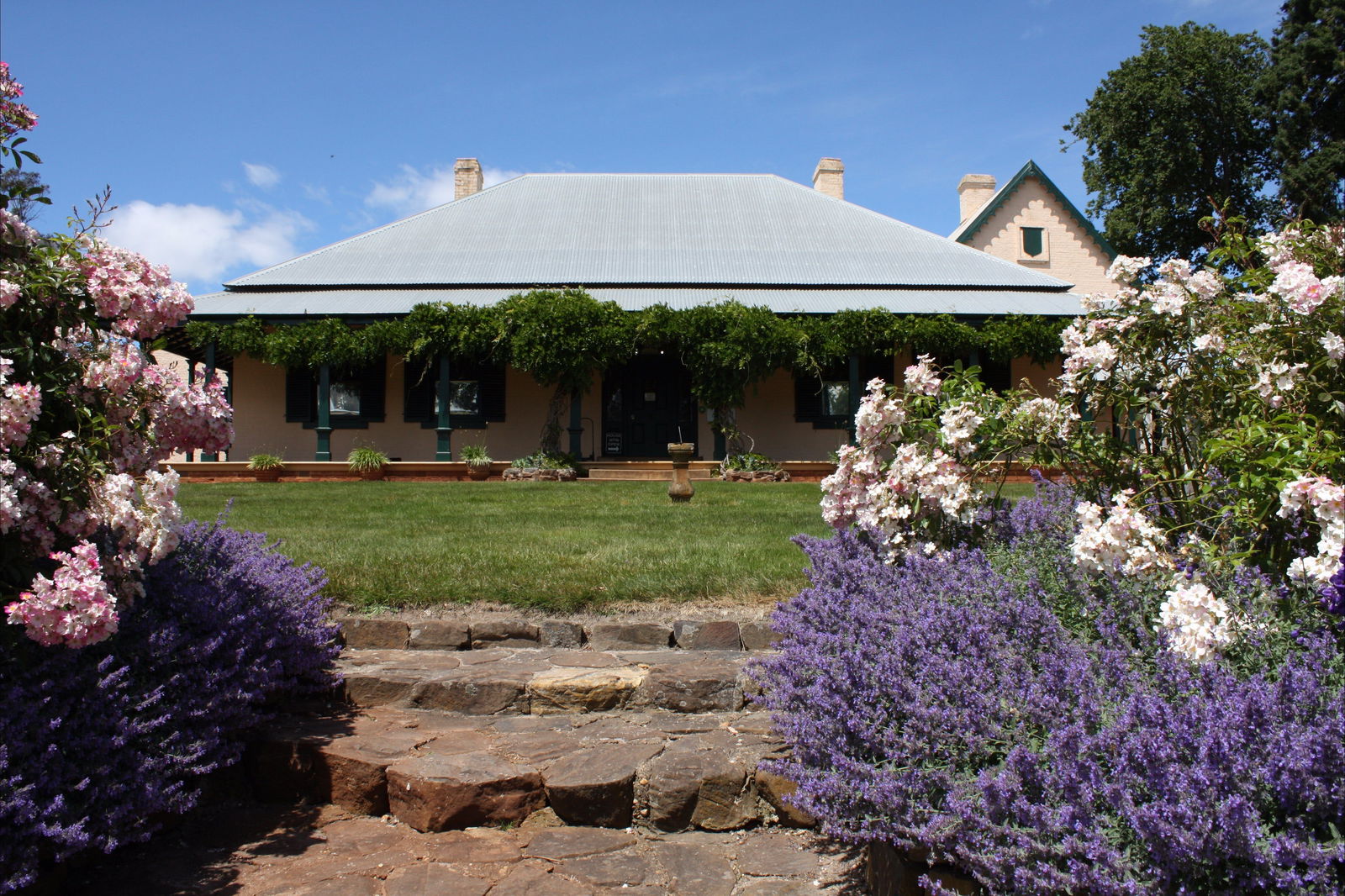 Attractions Sydney