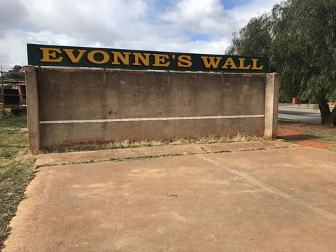 Evonne Goolagong-Cawley Wall - Attractions Sydney 0