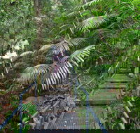 Falls walking track - Attractions Sydney