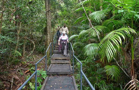 Falls Walking Track - Attractions Sydney 0
