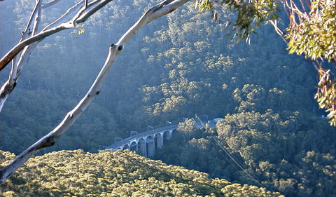 Forest Walk To Sublime Point Track - Attractions Sydney 0