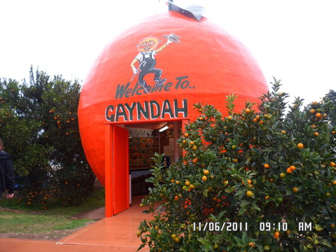 Gayndah's Big Orange - Attractions Sydney 2