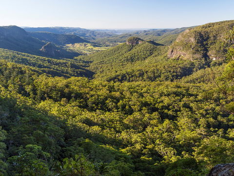 Gold Coast Hinterland Great Walk - Attractions Sydney 0