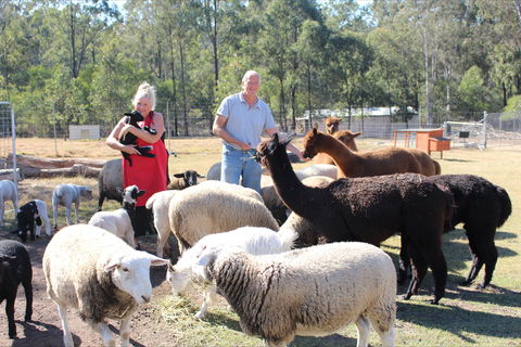 Haigslea EWE Nique Hobby Farm - Attractions Sydney 0