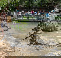 Hartley's Crocodile Adventures - Attractions Sydney