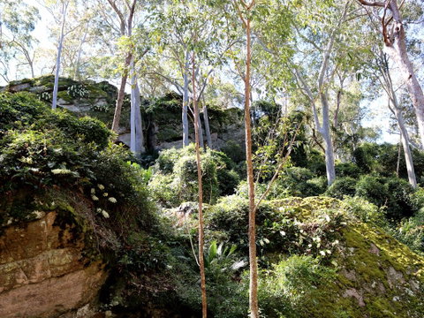 Haunted Point Loop Walk - Attractions Sydney 0