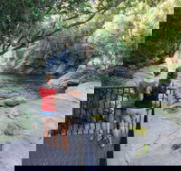 Josephine Falls walking track Wooroonooran National Park - Attractions Sydney