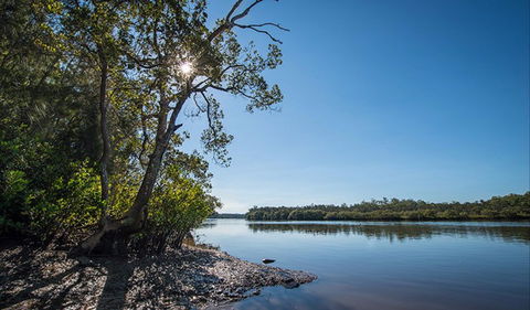 Karuah River National Park And Nature Reserve - Attractions Sydney 0