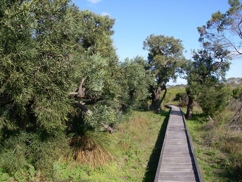 Kepwari Trails Wetland Wonderland - Attractions Sydney 0