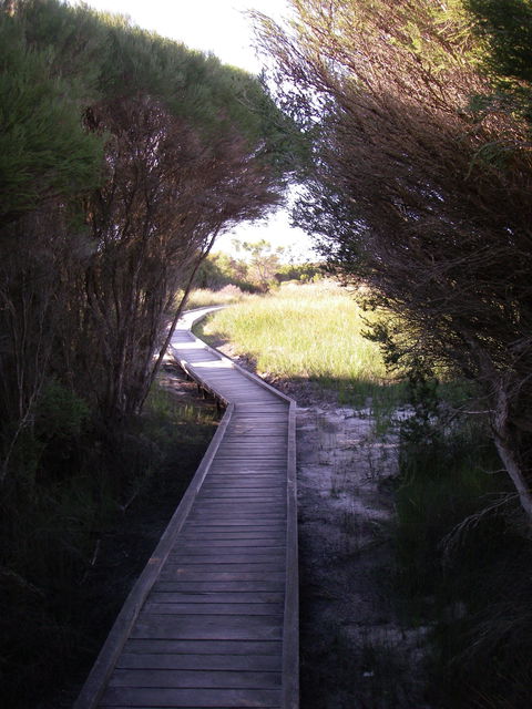Kepwari Trails Wetland Wonderland - Attractions Sydney 1
