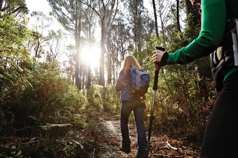 Kinglake National Park - Attractions Sydney 0