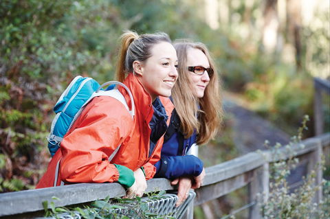 Kinglake National Park - Attractions Sydney 2