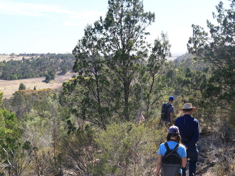 Kinchina Conservation Park - Attractions Sydney 0