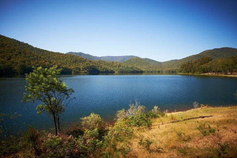 Lake William Hovell Recreation Area - Attractions Sydney 0