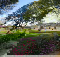 Lions Park - Attractions Sydney