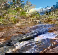 Little Dandahra Creek Walking Track - Attractions Sydney