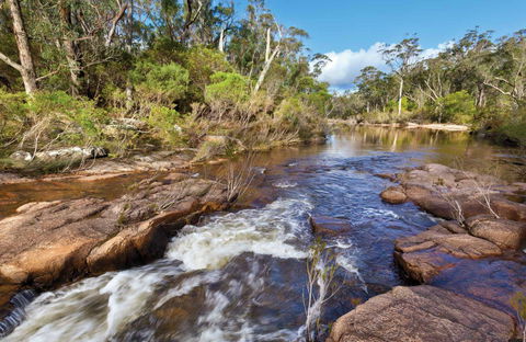 Little Dandahra Creek Walking Track - Attractions Sydney 0