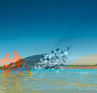 Llewellyn Dive Site - Attractions Sydney