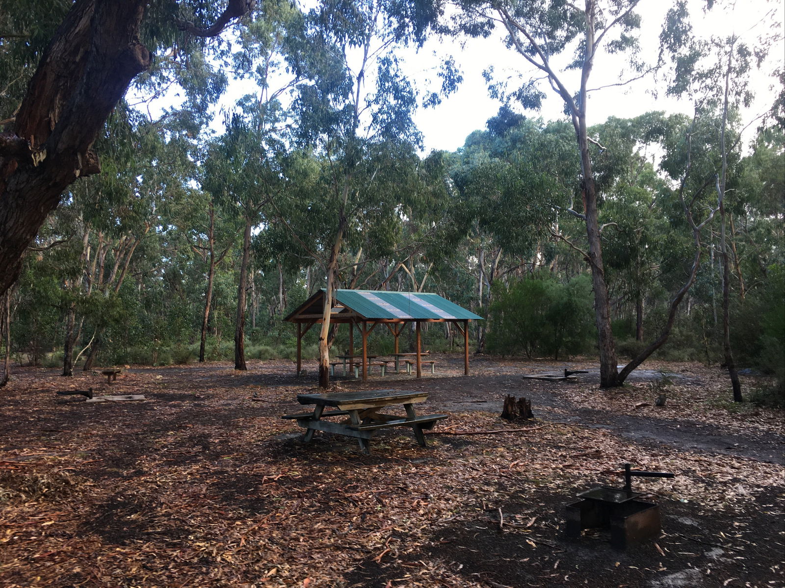 Corndale VIC Attractions Sydney