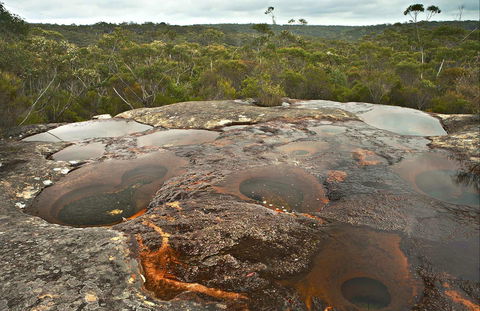 Maddens Falls - Attractions Sydney 0