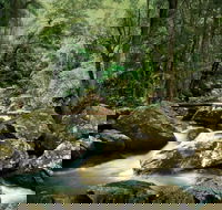 Maleny - Attractions Sydney