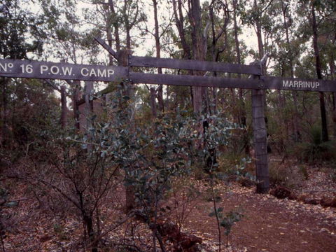 Marrinup Trail, Dwellingup - Attractions Sydney 0