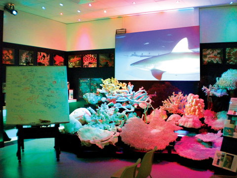 Marine Discovery Centre Hastings Point - Attractions Sydney 0