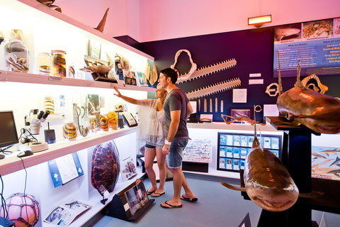 Marine Discovery Centre Hastings Point - Attractions Sydney 1